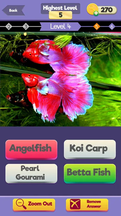 Capturas de tela do Zoom Trivia - Animals Edition