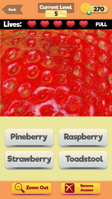 Zoom Trivia - Food Edition应用截图