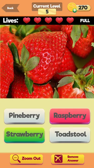 Zoom Trivia - Food Edition应用截图