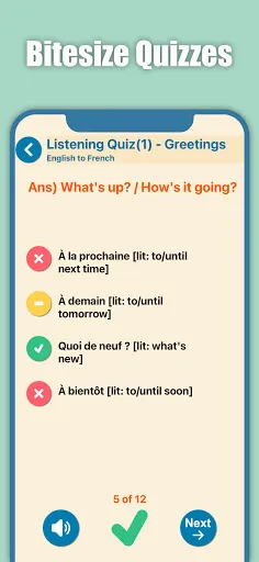 Learn French for Beginners Screenshots