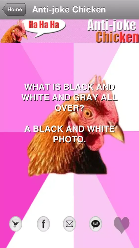 Anti-Joke Chicken meme应用截图