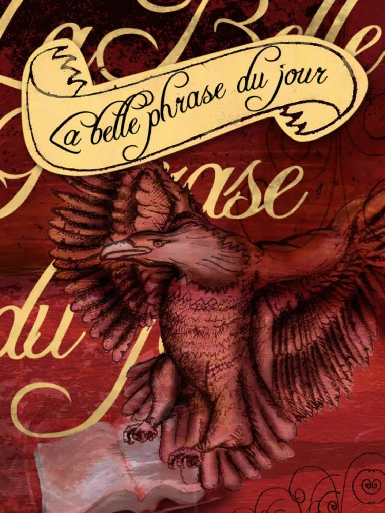 Ảnh chụp màn hình của La belle phrase du jour iPad 