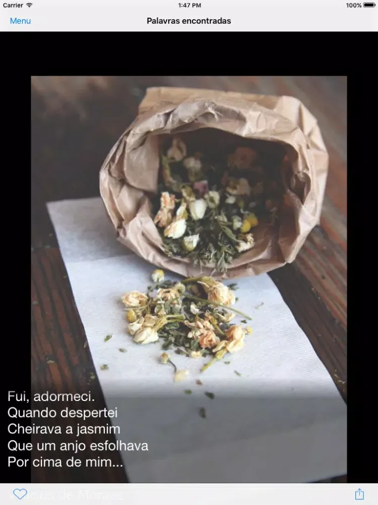 Palavras Encontradas iPad 應用截圖