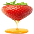 Honeypot