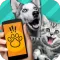 Pet Translator