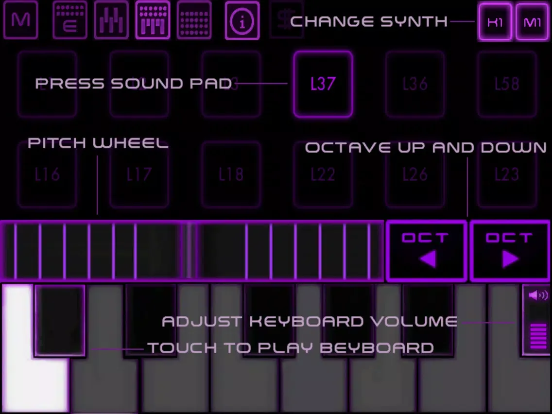 Bass Drop - Deep House - Electronic music sampler and synthesizer iPad 應用截圖
