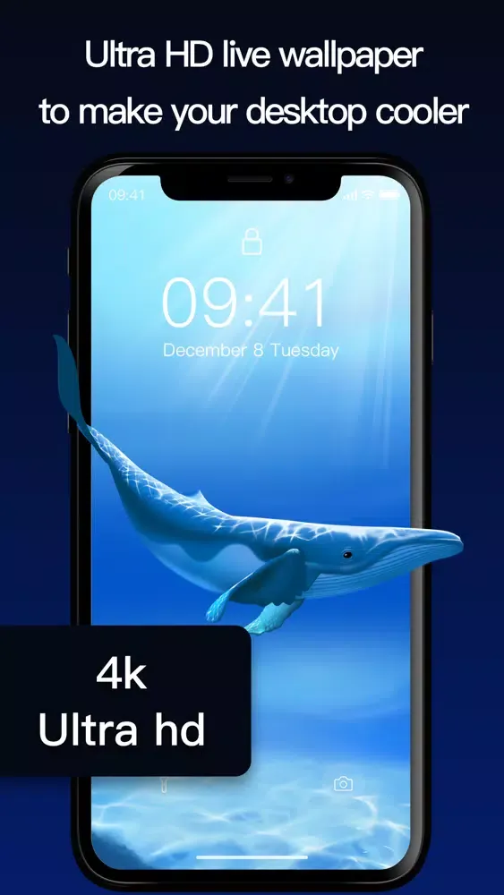 Wallpaper -Fresh&HD應用截圖