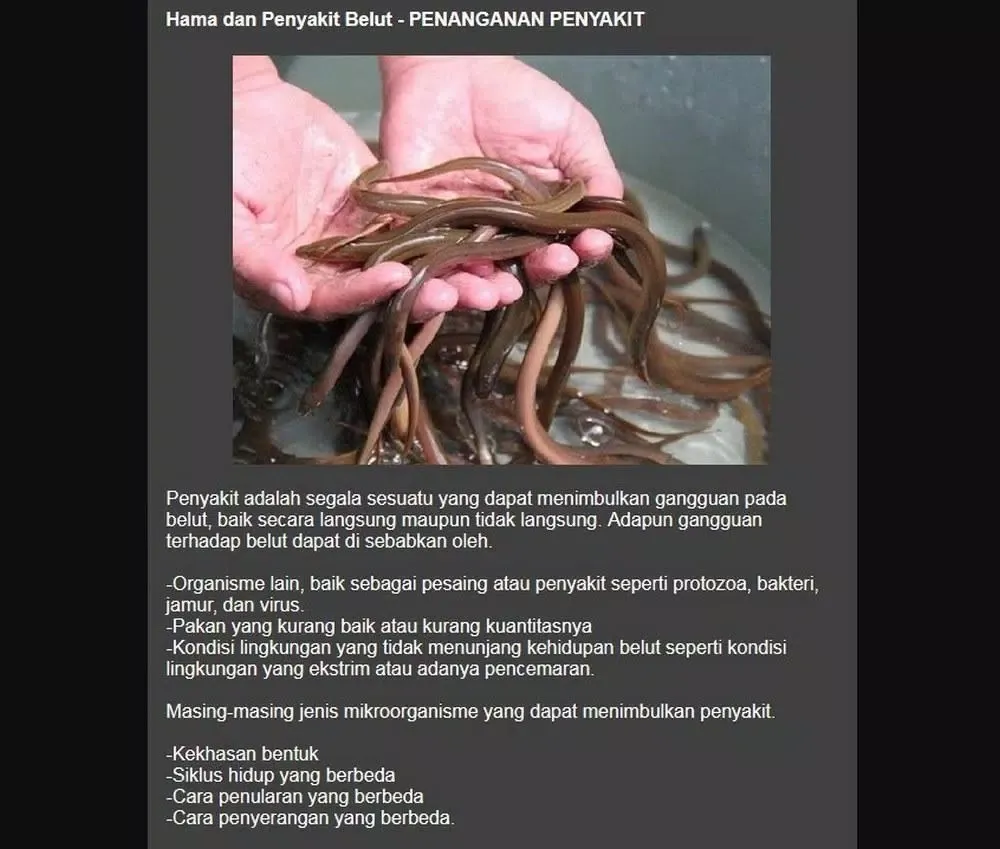 freshwater fish disease Screenshots