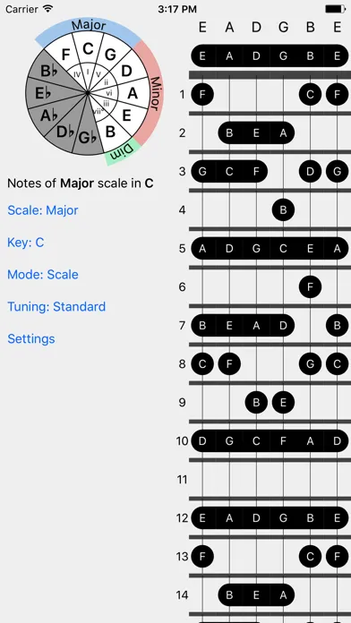 Screenshot di FretBud - Chord & Scales for Guitar, Bass and More