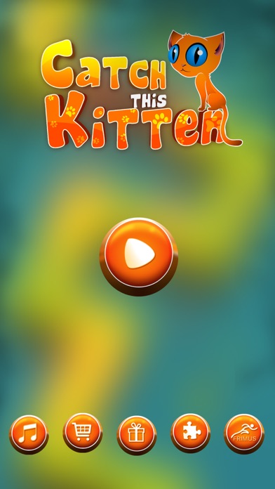 تصاویر Catch this Kitten
