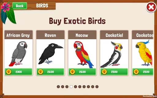 Bird Land: Pet Shop Bird Games Ekran Görüntüleri