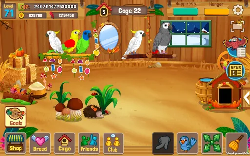 Bird Land: Pet Shop Bird Games Ekran Görüntüleri