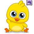 My Chicken