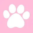 SwiAww – Funny Cat Video Channel