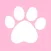 SwiAww – Funny Cat Video Channel