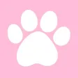 SwiAww – Funny Dog Video Channel