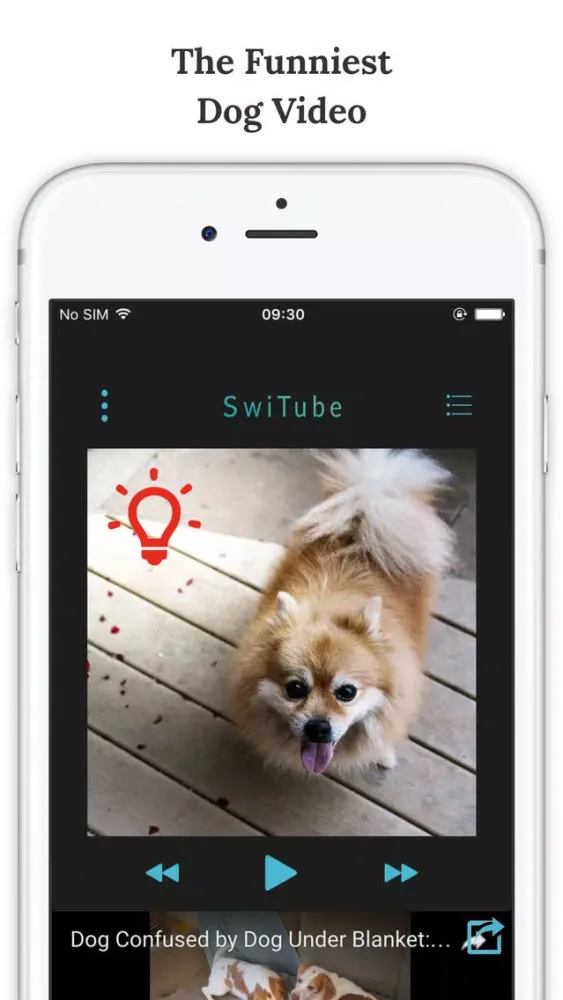 SwiAww – Funny Dog Video Channel Screenshots