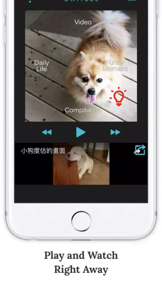 SwiAww – Funny Dog Video Channel Screenshots