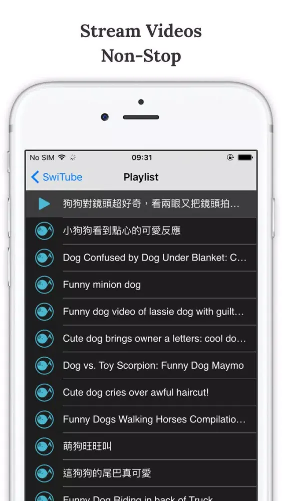 SwiAww – Funny Dog Video Channel Screenshots