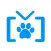SwiArk - Cat Breed Video Directory
