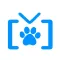 SwiArk - Cat Breed Video Directory