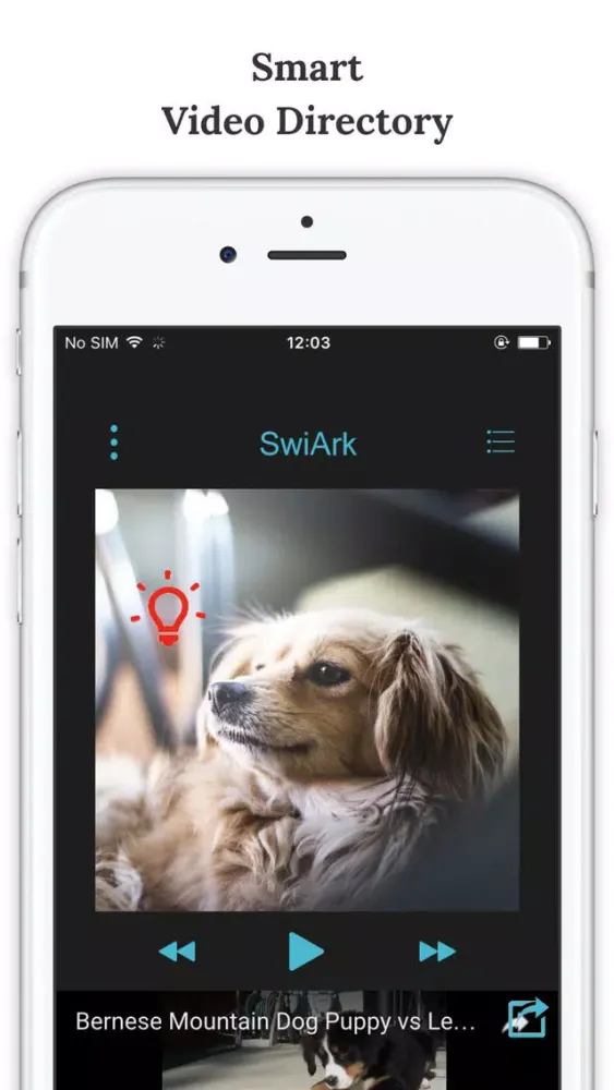 تصاویر SwiArk - Dog Breed Video Directory