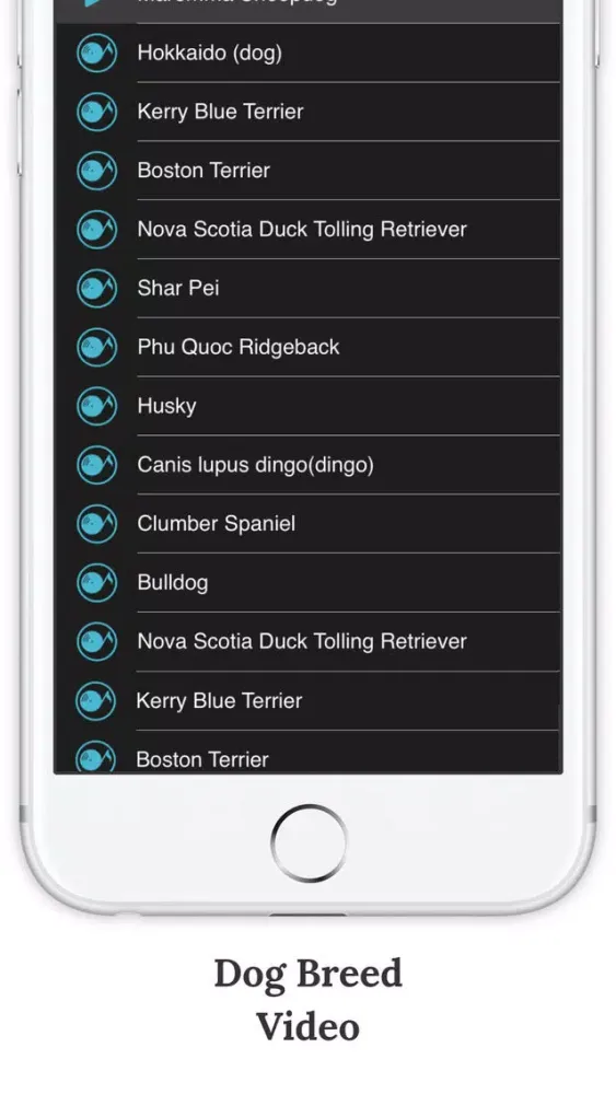 تصاویر SwiArk - Dog Breed Video Directory