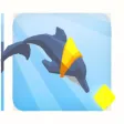 Jumping Dolphin Jumping Dolphin