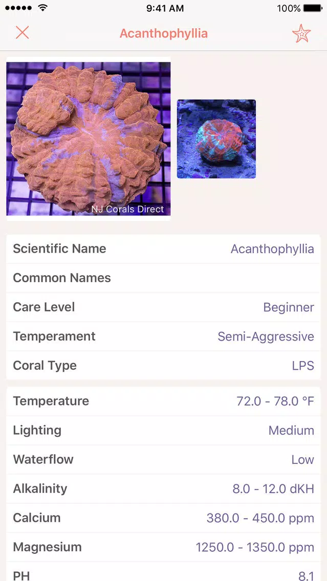 Atoll - Coral Identification App Screenshots
