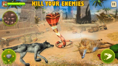 Ảnh chụp màn hình của Ultimate Snake life Simulator