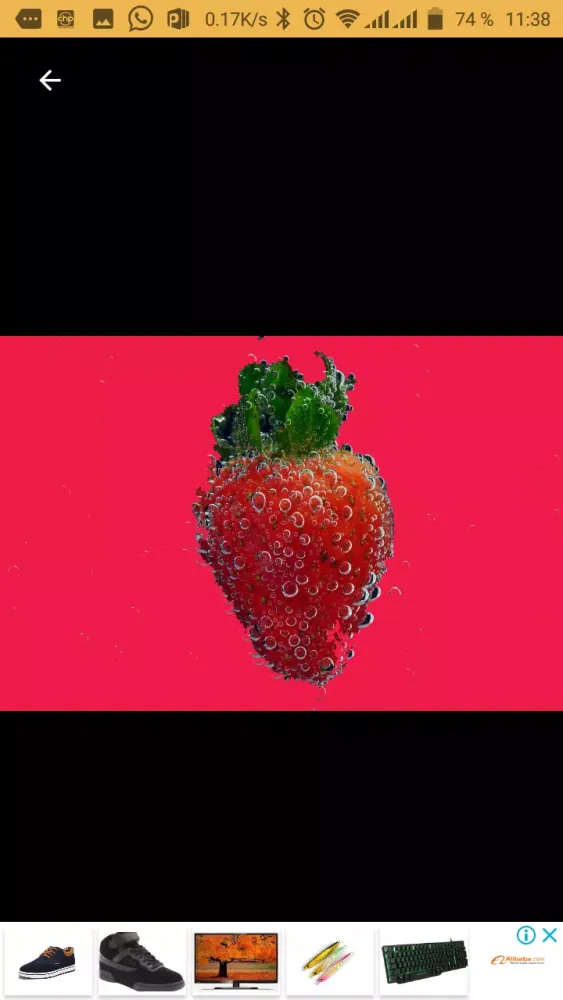Fruits et Vitamines应用截图