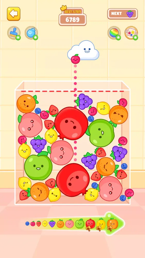 Fruit Fusion Delight Screenshots