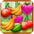 Blitz Fruit Block 1010