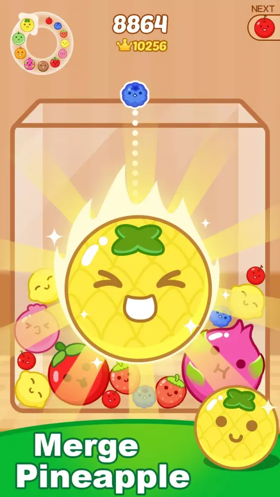 Fruit Merge - Drop merge應用截圖