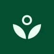 Fruitful: Finances figured out Fruitful: Finances figured out