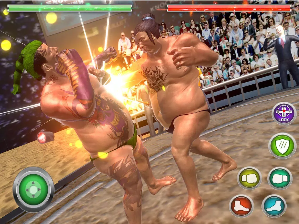Real Sumo Fighting 2017 iPad  سکرین شاٹس