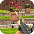 Target Watermelon Shooting