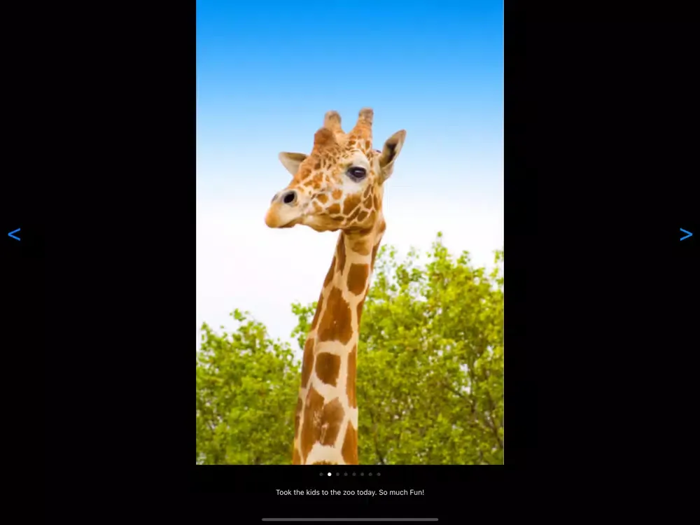Family and Friends iPad 应用截图