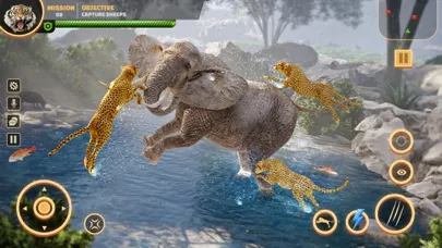 Wild Cheetah Hunting Simulator Screenshots