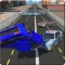Police vs Robbers Car Theft