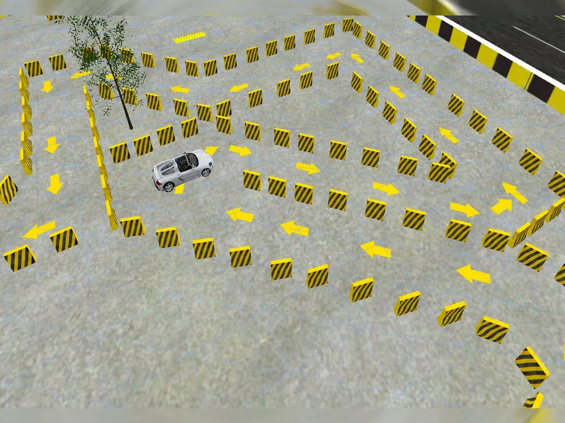 Speed Car Parking iPad  سکرین شاٹس