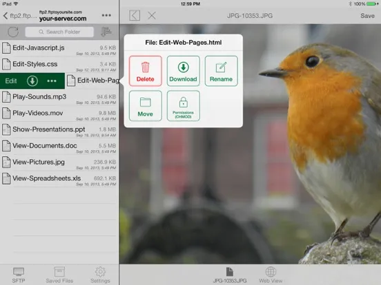 Скриншоты FTP On The Go Pro - Upgrade iPad 