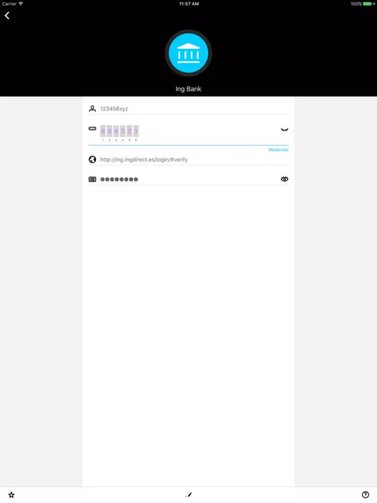 Secure PWD – Password Manager iPad  سکرین شاٹس