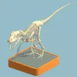Fossil Museum Collector