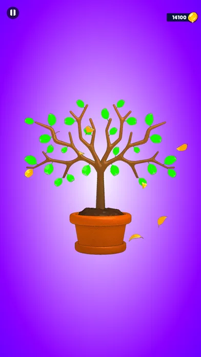 تصاویر Organizer Dream