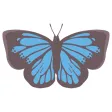 Pop and chic butterfly sticker