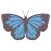 Pop and chic butterfly sticker