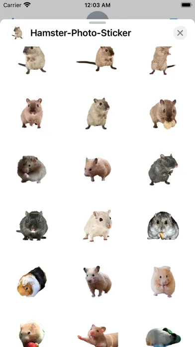Hamster Photo Sticker應用截圖