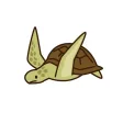 Reptile sticker