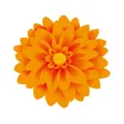 Sticker Dahlia Sticker Dahlia